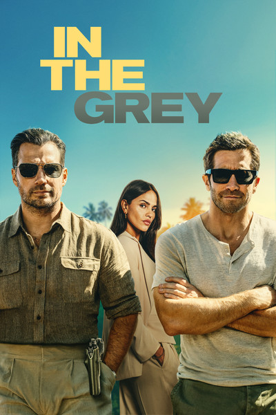 In The Grey 2026 720p VOSTFR HDTS x264-NGP