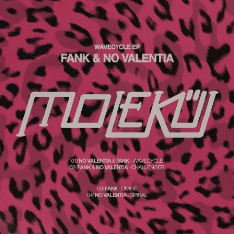 Fank, No Valentia - Wavecycle (2026) mp3