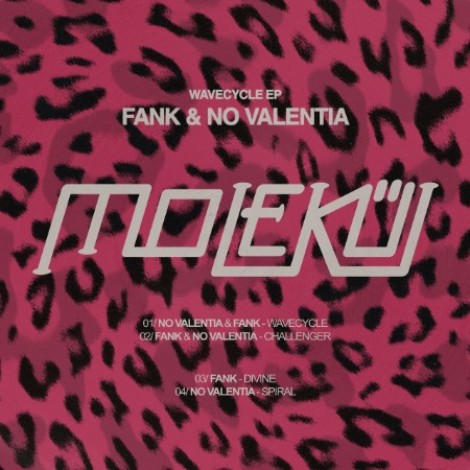 FANK & No Valentia - Wavecycle (2026) flac