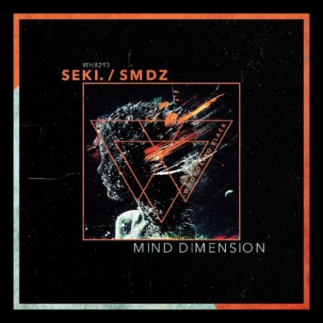 SMDZ - Mind Dimension (2026) mp3