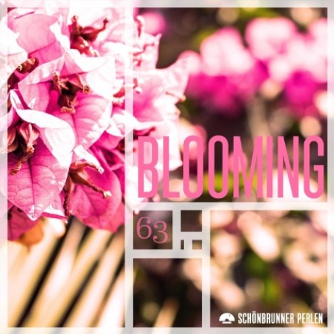 VA - Blooming (2026) mp3
