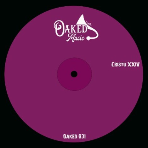 Cristu XXIV - Borgman Pe (2026) mp3