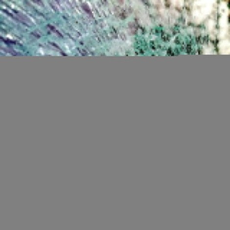 Danicc - Entropy (2026) flac