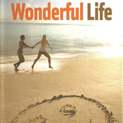 Wonderful Life (4CD) (2011) FLAC