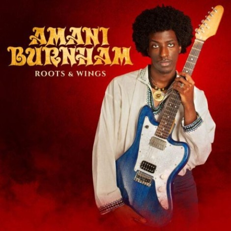 Amani Burnham - Roots & Wings (2026) mp3
