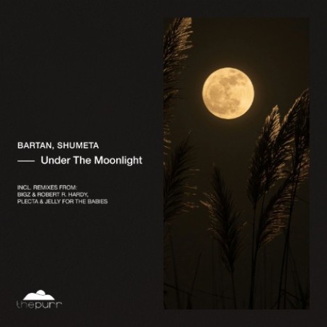 Bartan, Shumeta - Under The Moonlight (2026) mp3