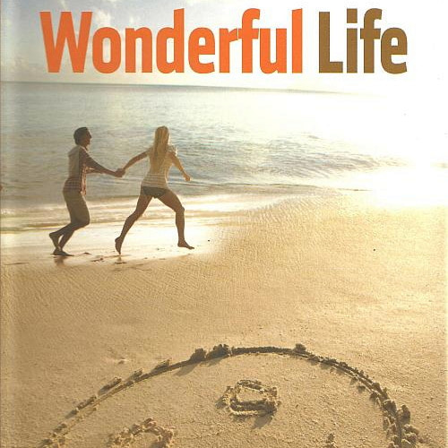 Wonderful Life (4CD) (2011) FLAC