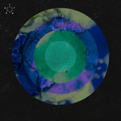 Anml Mthr - Cold Funktion EP (2026) mp3