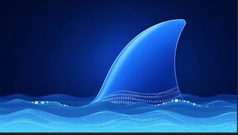 [Image: a53cf8cf25e9962cae4474a18f12e84c.jpg]