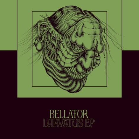 VA - Bellator Larvatus (2026) mp3