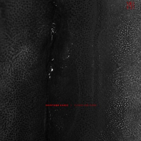 ShintarÃ¸ Kanie - Flood Far Zone (2026) mp3