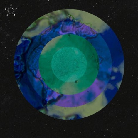 Anml Mthr - Cold Funktion EP (2026) flac