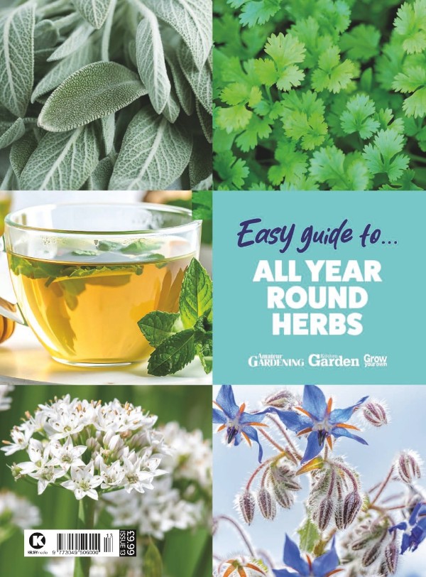 Amateur Gardening Easy Guide To - All Year Round Herbs, Issue 13 2026
