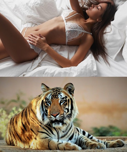 Best Mixture Wallpapers Collection 106