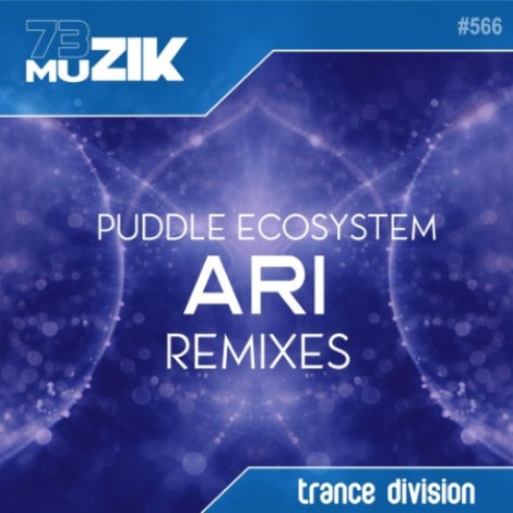 Puddle Ecosystem - Ari (Remixes) (2026) mp3