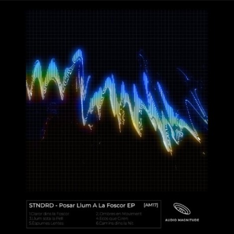 stndrd - Posar Llum A La Foscor (2026) flac