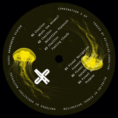 Pineal Navigation - Combination 3 EP (2026) mp3