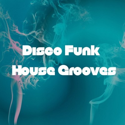 Disco Funk House Grooves (2026) FLAC