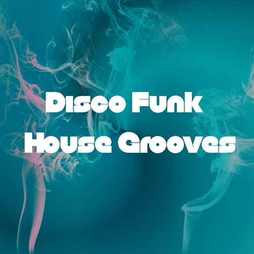 Disco Funk House Grooves (2026) FLAC