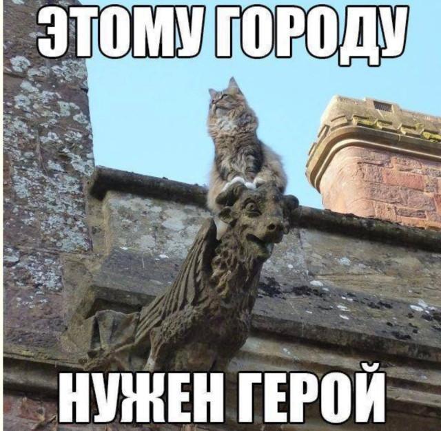 32ddc514f25d5b7ef4b4bc9efe7b76ac.jpg