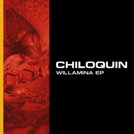 Chiloquin - Willamina EP (2026) mp3