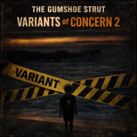 VA - Variants of Concern 2 (2026) mp3
