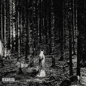 Tropic Gold - Witch House (feat. Harpy) (Single) (2026)
