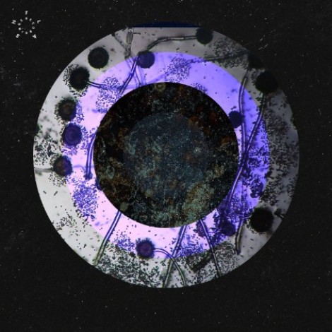 Abnormal Load, Elzen - Liquid Lunch EP (2026) mp3