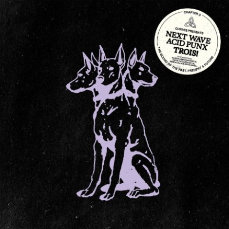 VA - Curses presents Next Wave Acid Punx Trois - Chapter 3 (2026) mp3