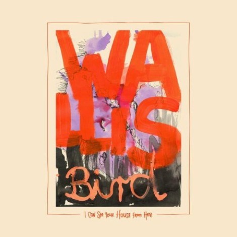 Wallis Bird - I Can See Your House From Here (2026) flac