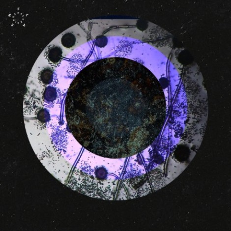 Abnormal Load - Liquid Lunch EP (2026) flac