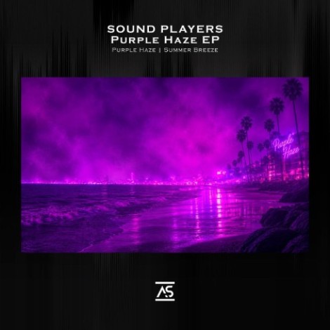 Sound Players - Purple Haze (2026) mp3