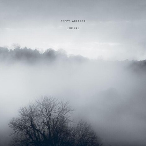 Poppy Ackroyd - Liminal (2026) flac