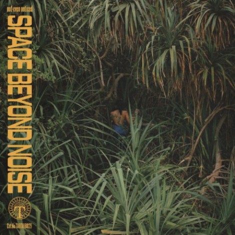 Not Even Noticed - Space Beyond Noise (2026) mp3