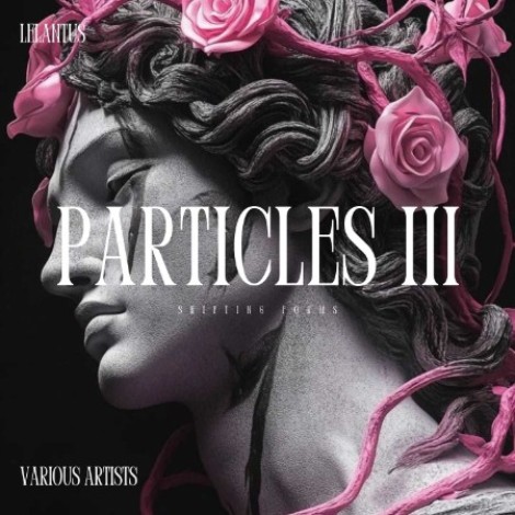 VA - Particles III (2026) mp3
