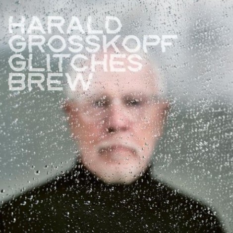 Harald Grosskopf - Glitches Brew (2026) flac