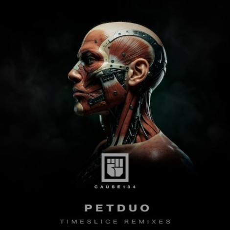 PETDuo - Timeslice Remixes (2026) mp3