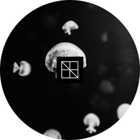 Stijn Vanmarsenille - Underneath The Sea Lies An Ocean Part 1 (2026) mp3