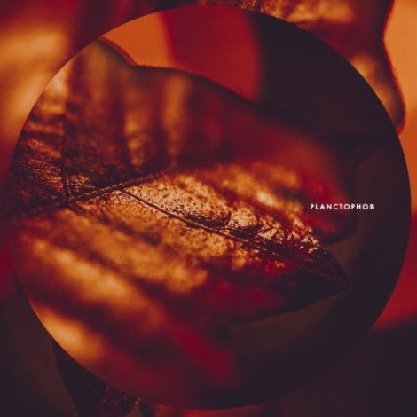 Planctophob - Fossil (2026) mp3
