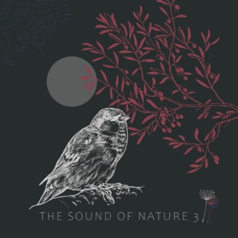 VA - The Sound Of Nature 3 (2026) flac