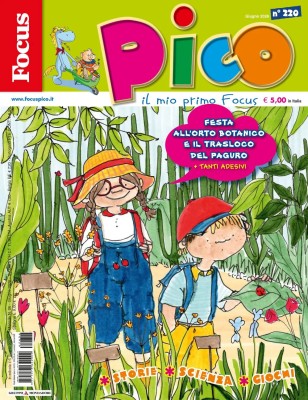 Focus Pico - Giugno 2026