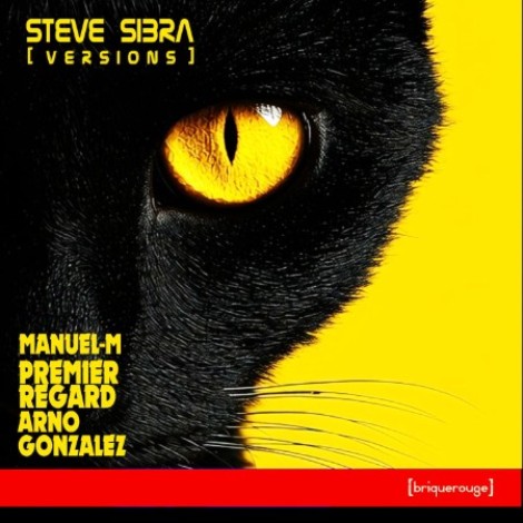 Steve Sibra - Versions (2026) mp3
