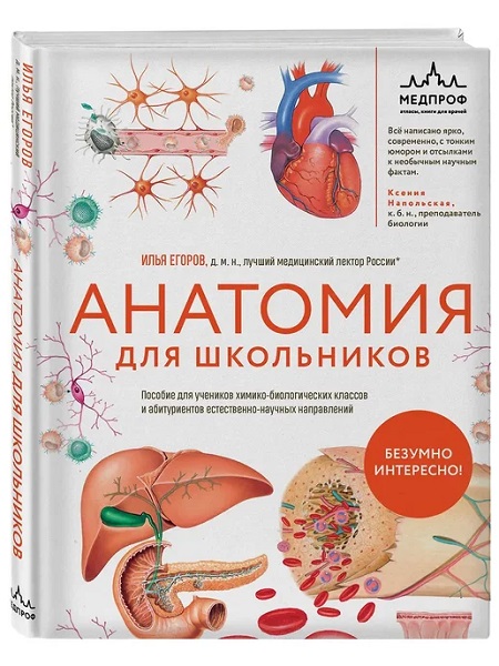 Анатомия для школьников. Пособие для учеников химико-биологических классов