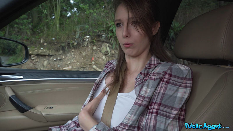 PublicAgent/FakeHub: Gina Snow, Martin Gun  The Swedish Hitchhiker (FullHD) - 2026