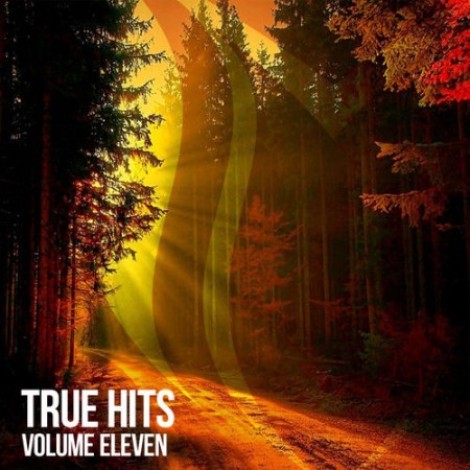 VA - True Hits, Vol. 11 (Extended Mixes) (2026) mp3