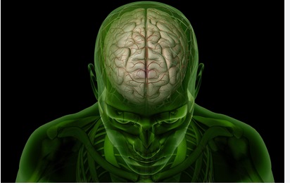 [Image: a513d111734c4fdbeed82948bfaa14f2.jpg]