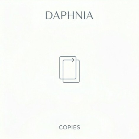 Daphnia - Copies (2026) mp3