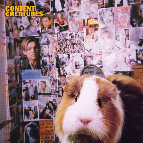 943e32f07a5fd7d3e1a29c7492352bd0.jpg