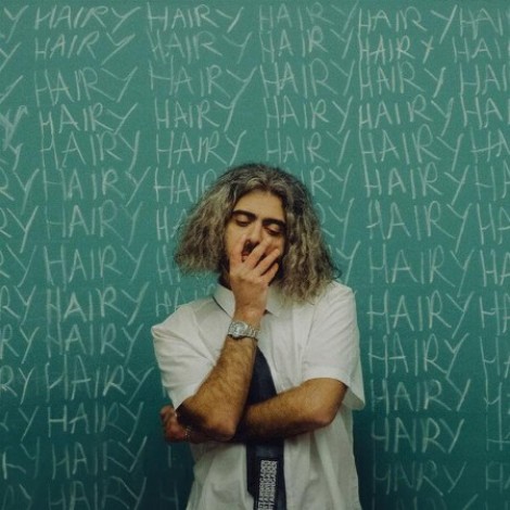 WHO SHOT SCOTT - HAIRY (2026) mp3