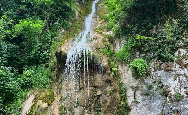 https://i127.fastpic.org/big/2026/0609/00/56ee32ab6f9927816e0aa2585d995600.jpg